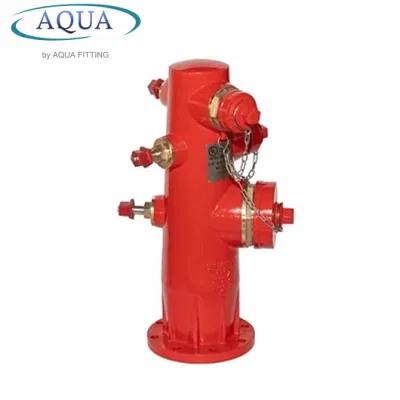 Bouche d'incendie en fonte ductile pour incendie DN80, DN100